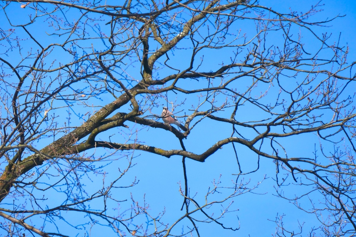 c08b4c1c-242b-48c9-aa97-0076887e000b