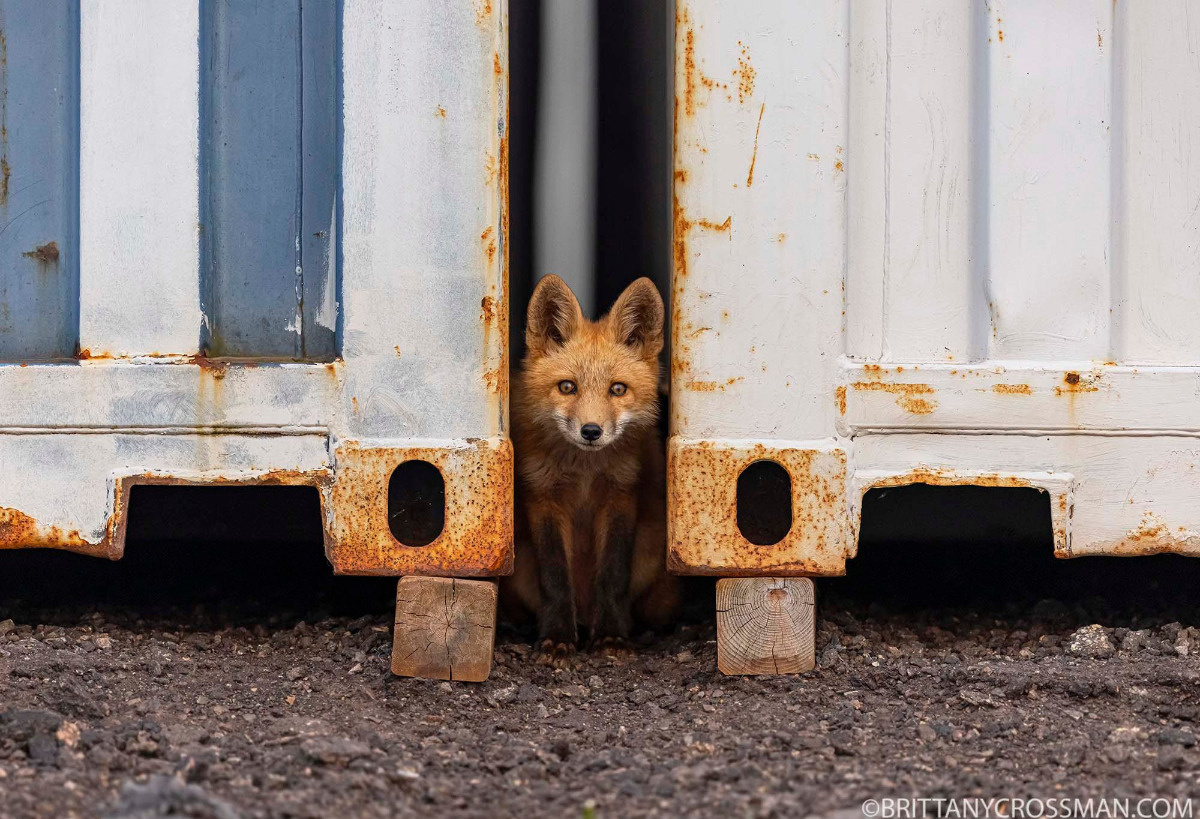 33516e4a-d1b6-4d25-a457-5a51bba5de82