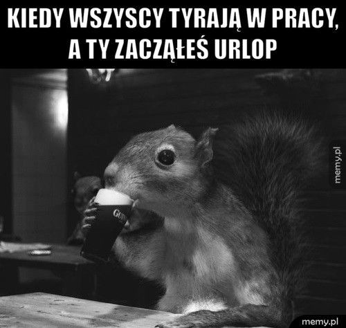 05cbecf6-77de-4488-859b-39784415a167