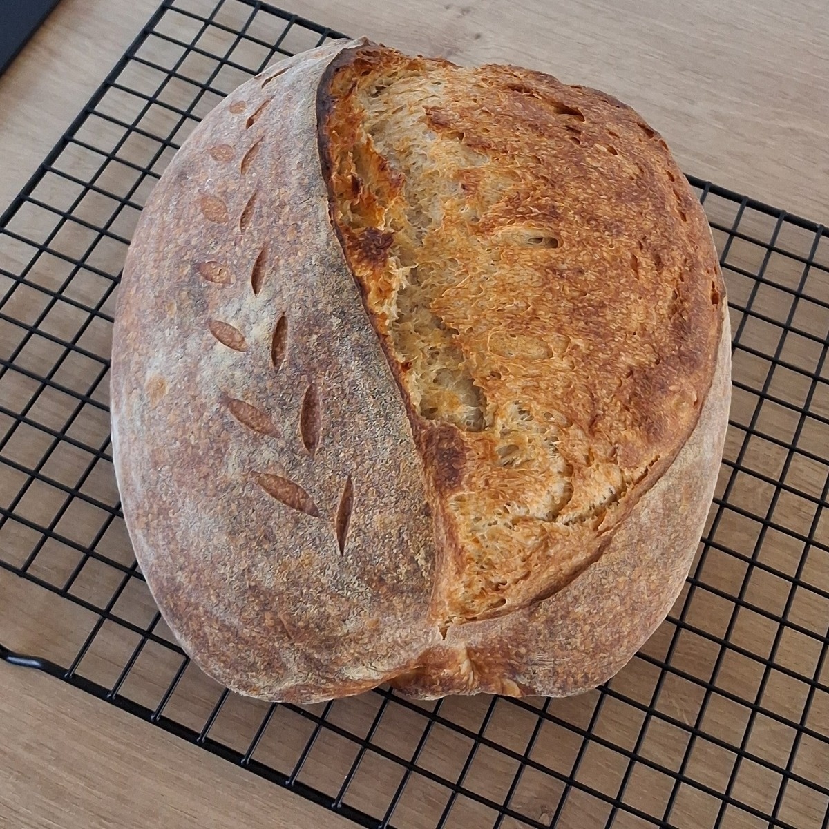 1c0f4f57-1658-44f4-894d-a67f18707dc6