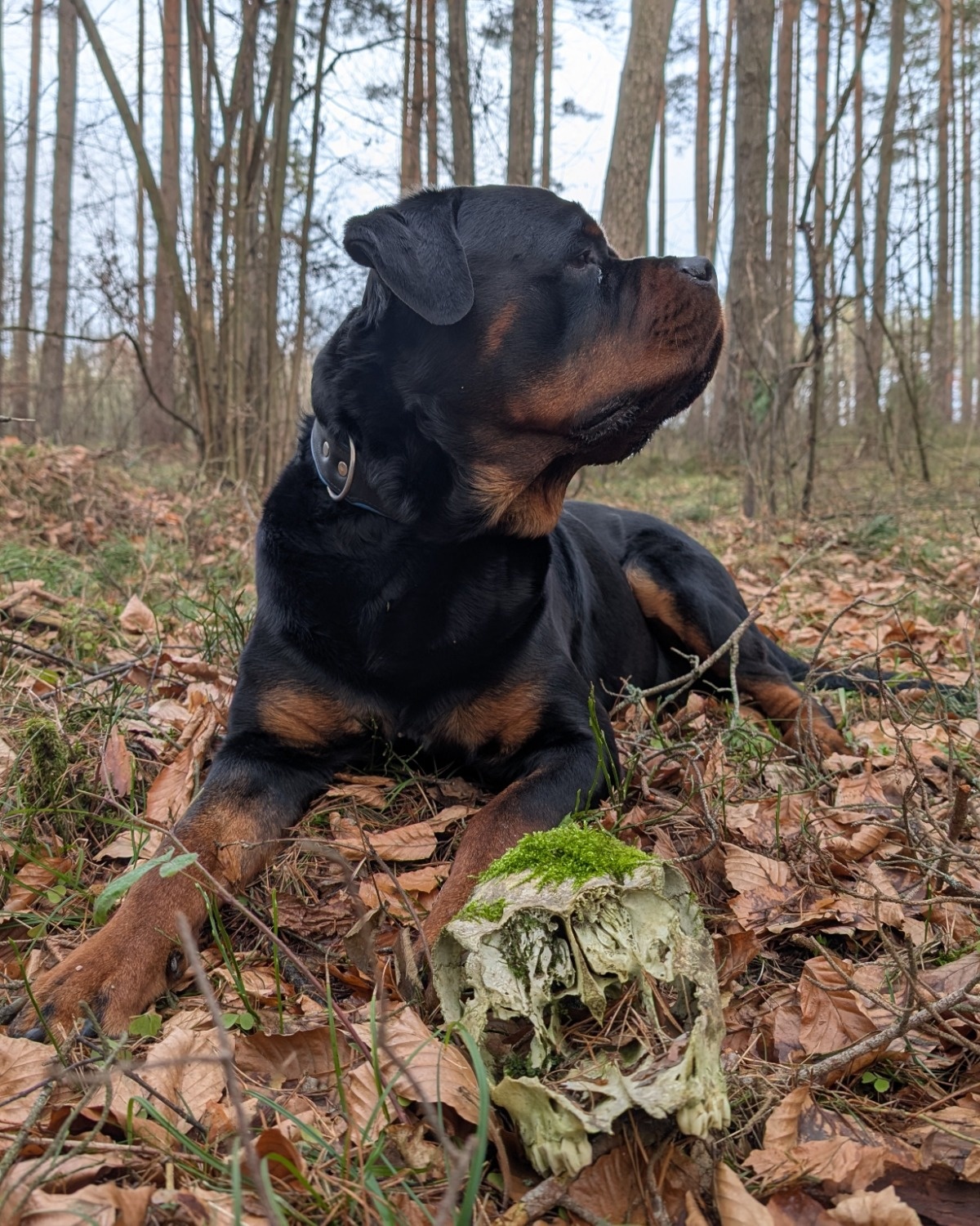 303d0b0c-1c0d-4bf4-8e60-90bd77a31c9a