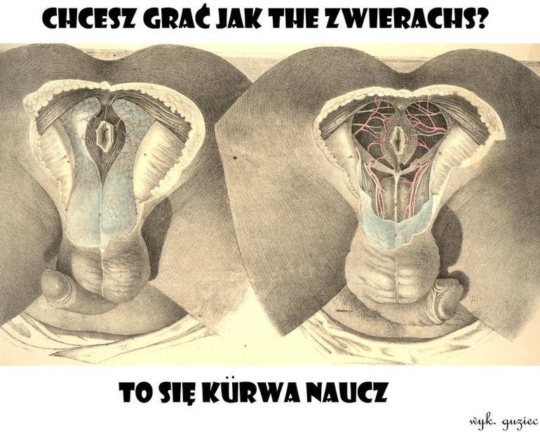 909b1082-e58f-4c08-a68f-ec0f18df10c2