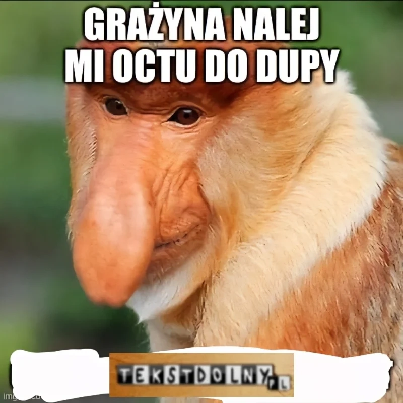 e65daff2-e6ca-4469-8fc8-d78252cd4349