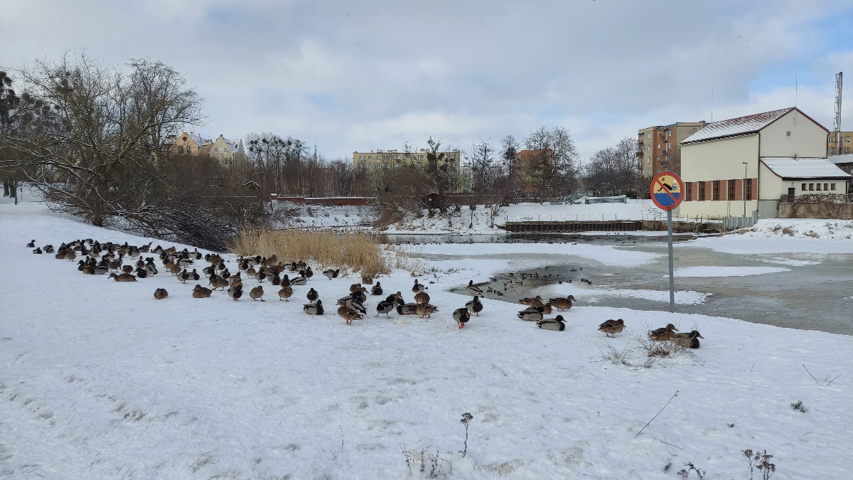 f20924e1-765a-4c5c-a13b-43809328bf80