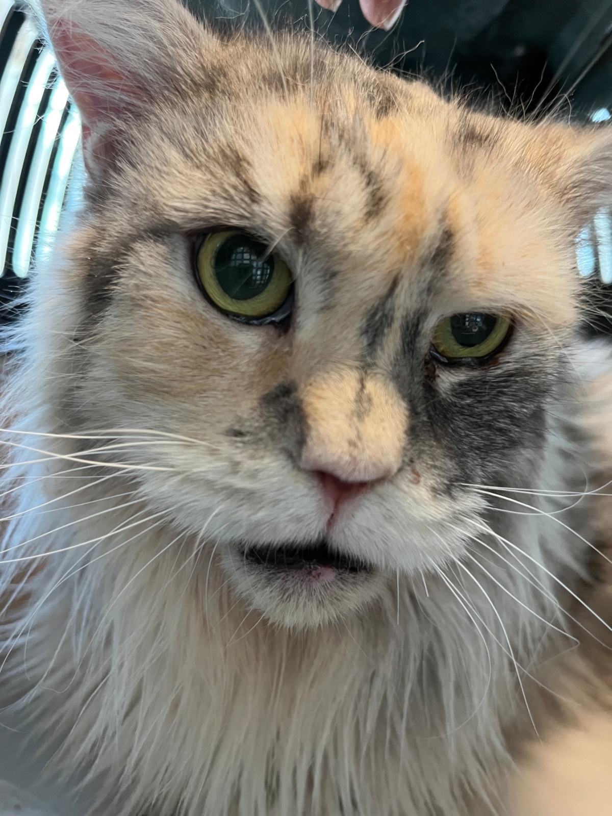 94b686d2-d04d-42b5-aa96-3f7b3b065c3d