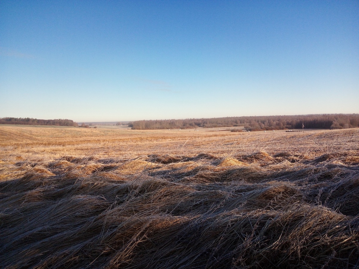 9ea33976-7228-4971-9e47-27e7473747be