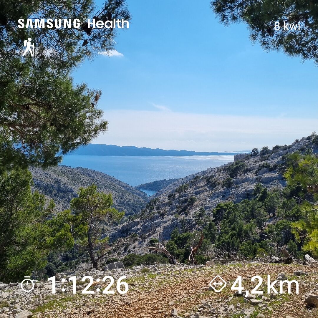 c229ab51-7284-47d7-8e95-a6b5c7bcb80f