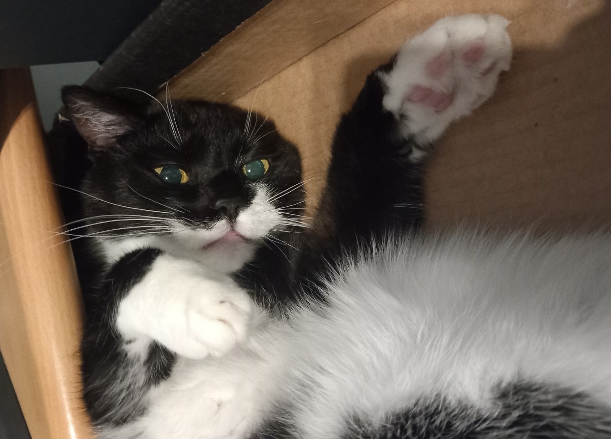 93e4394e-1106-444f-9fc8-709f9900e9d6