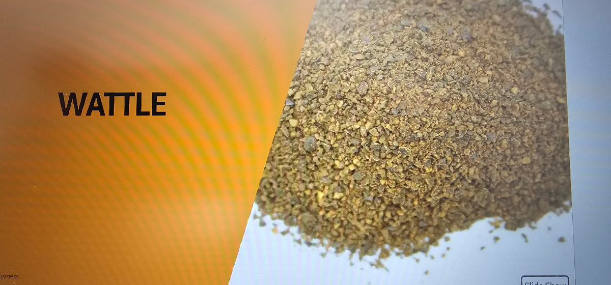 2c395c8e-a0b1-4586-b4c0-bb4b3d04cf8a