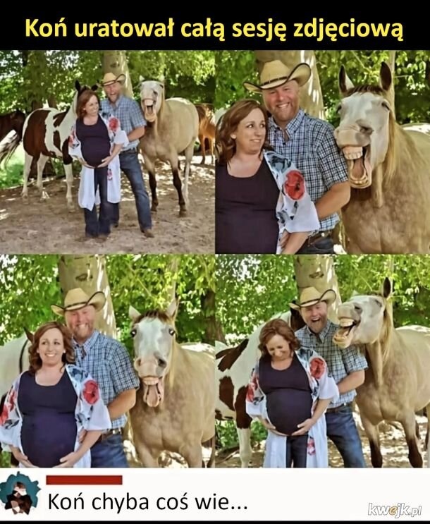 cb6d9781-eabd-4d5c-83d4-4f34bf7dcb48