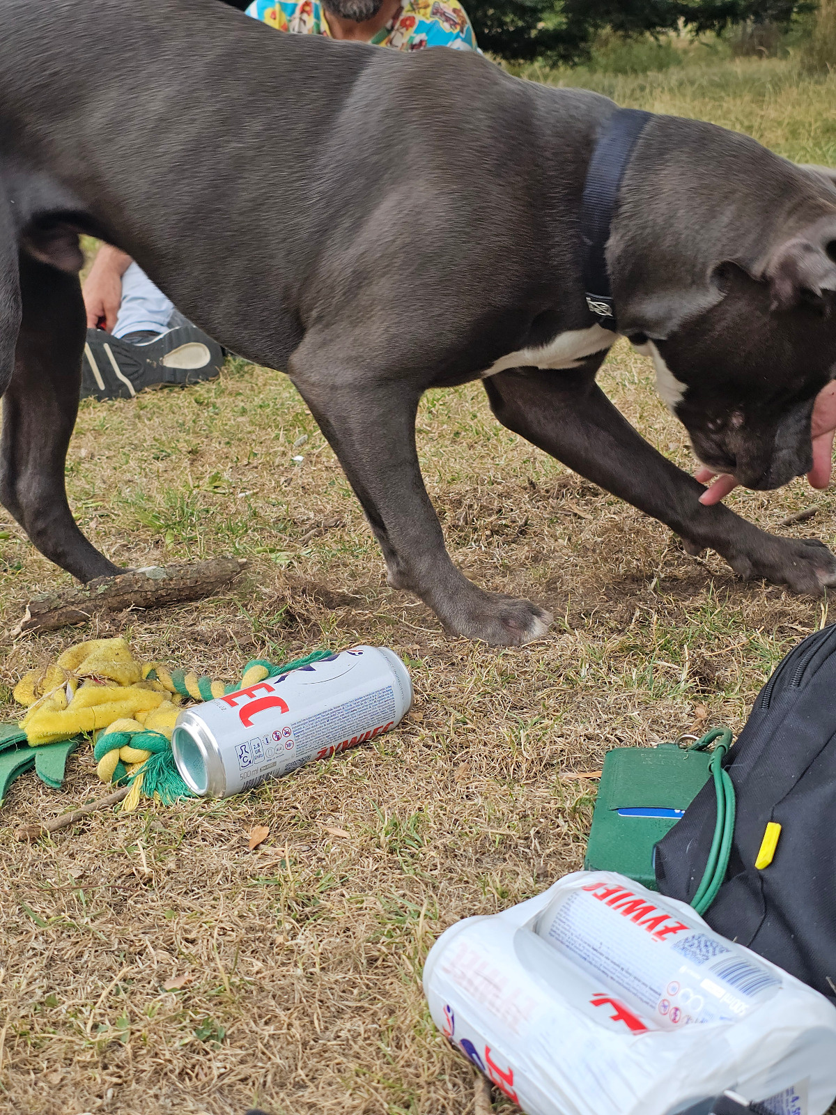 5a5bc593-cce5-4b81-9a2b-814b8e85552d