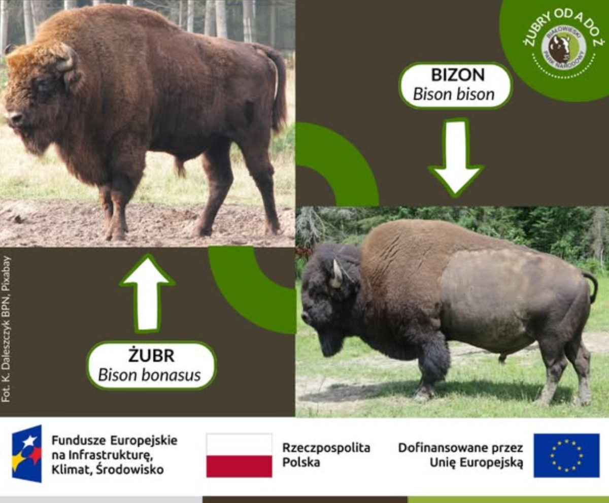 6b5f2383-3785-4015-965e-0cff644d6d88