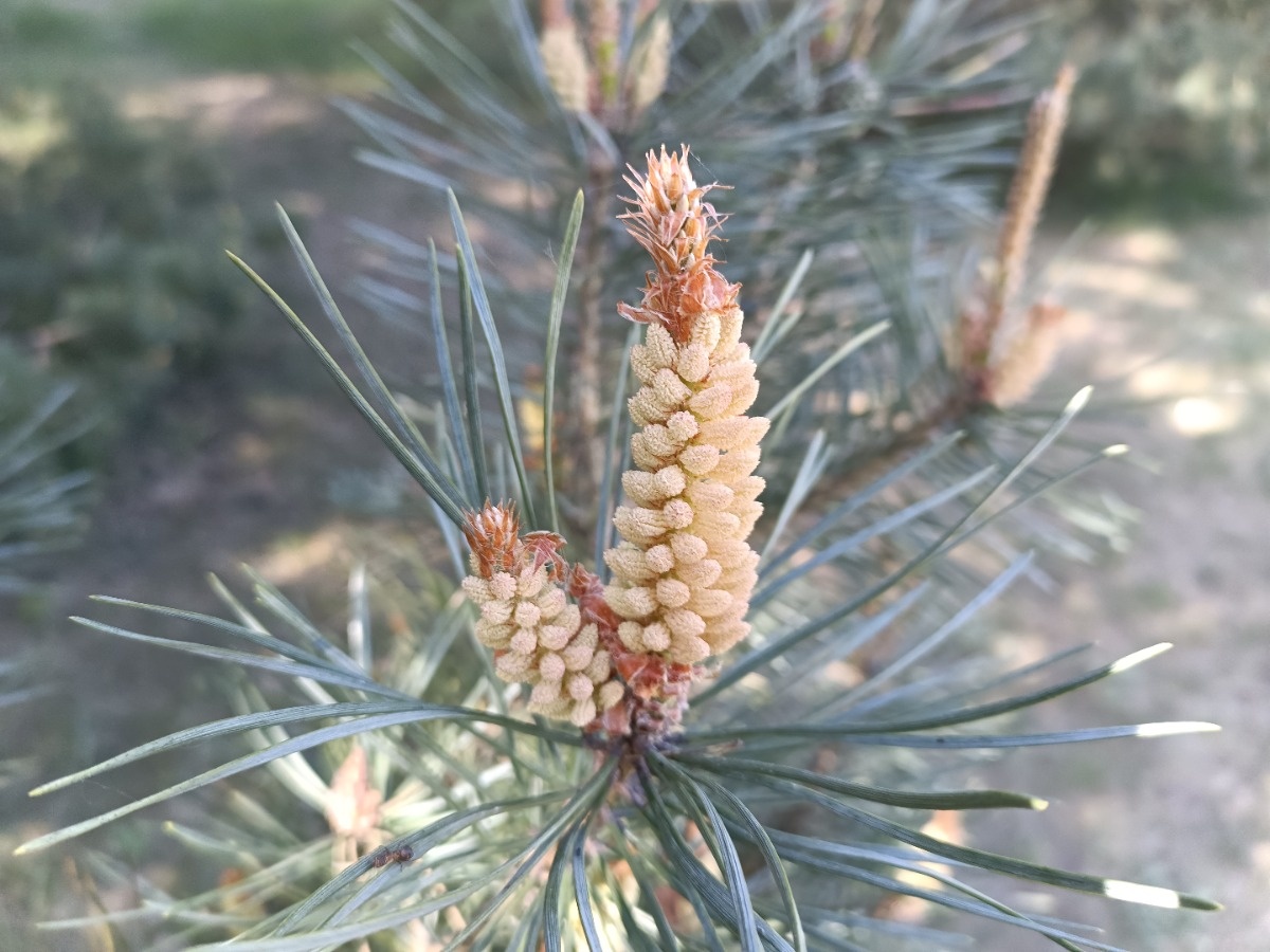 db9a95f5-4339-46c7-8014-61569787d610