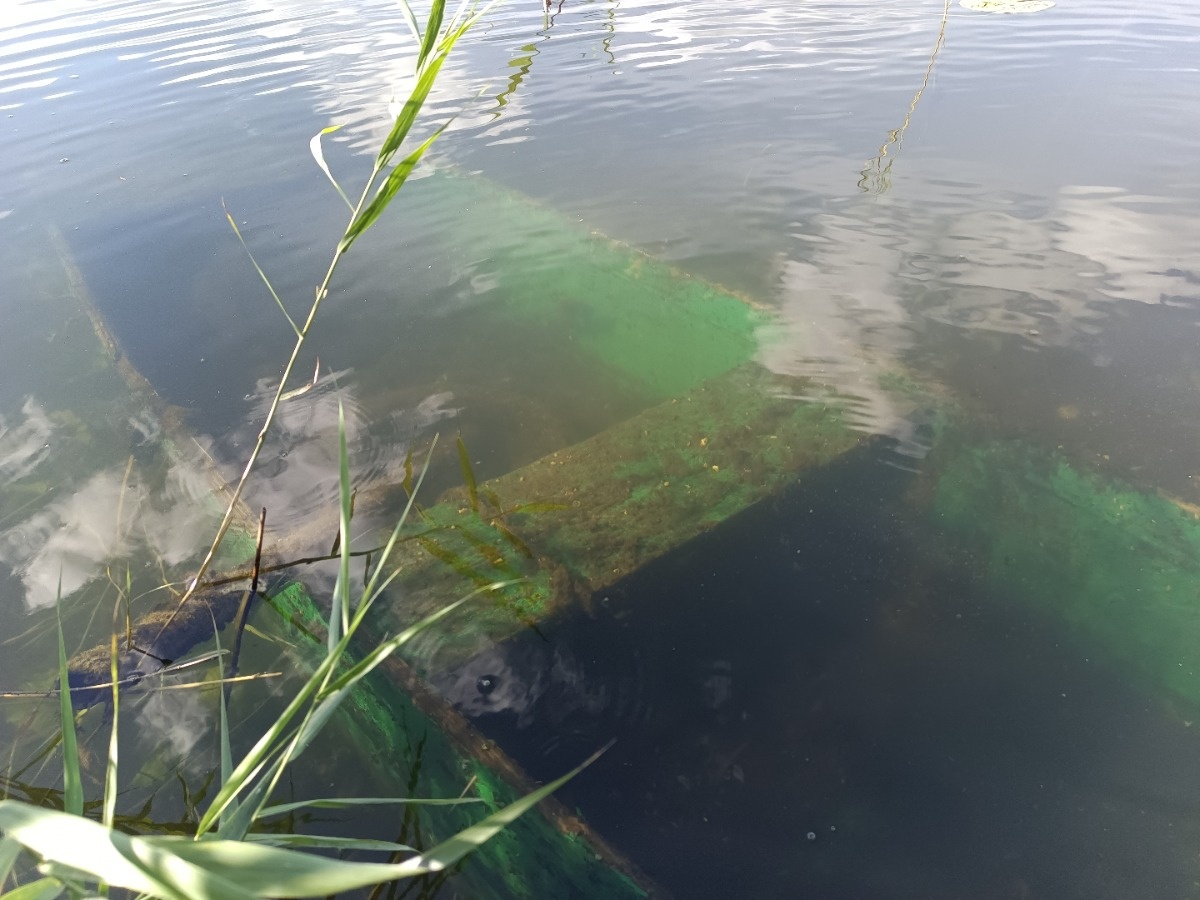 b97c24a7-75e3-4244-936b-70678a88f9bd