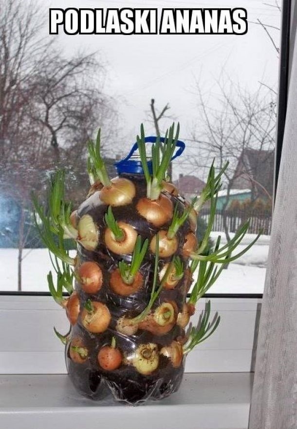 3855dde1-776d-49fb-82b0-3b4d66b34858