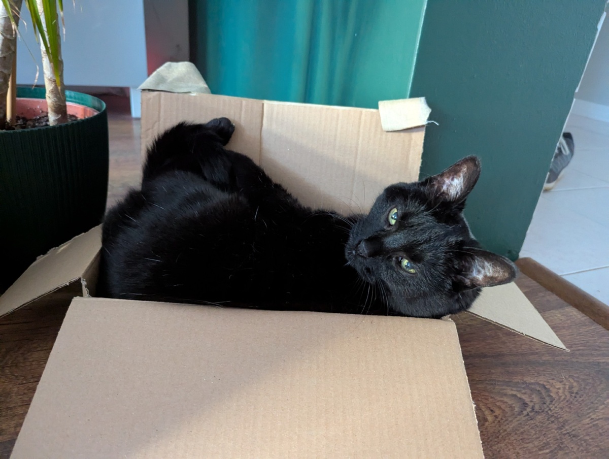 413abde8-224a-4e08-8892-c212b9989b6a