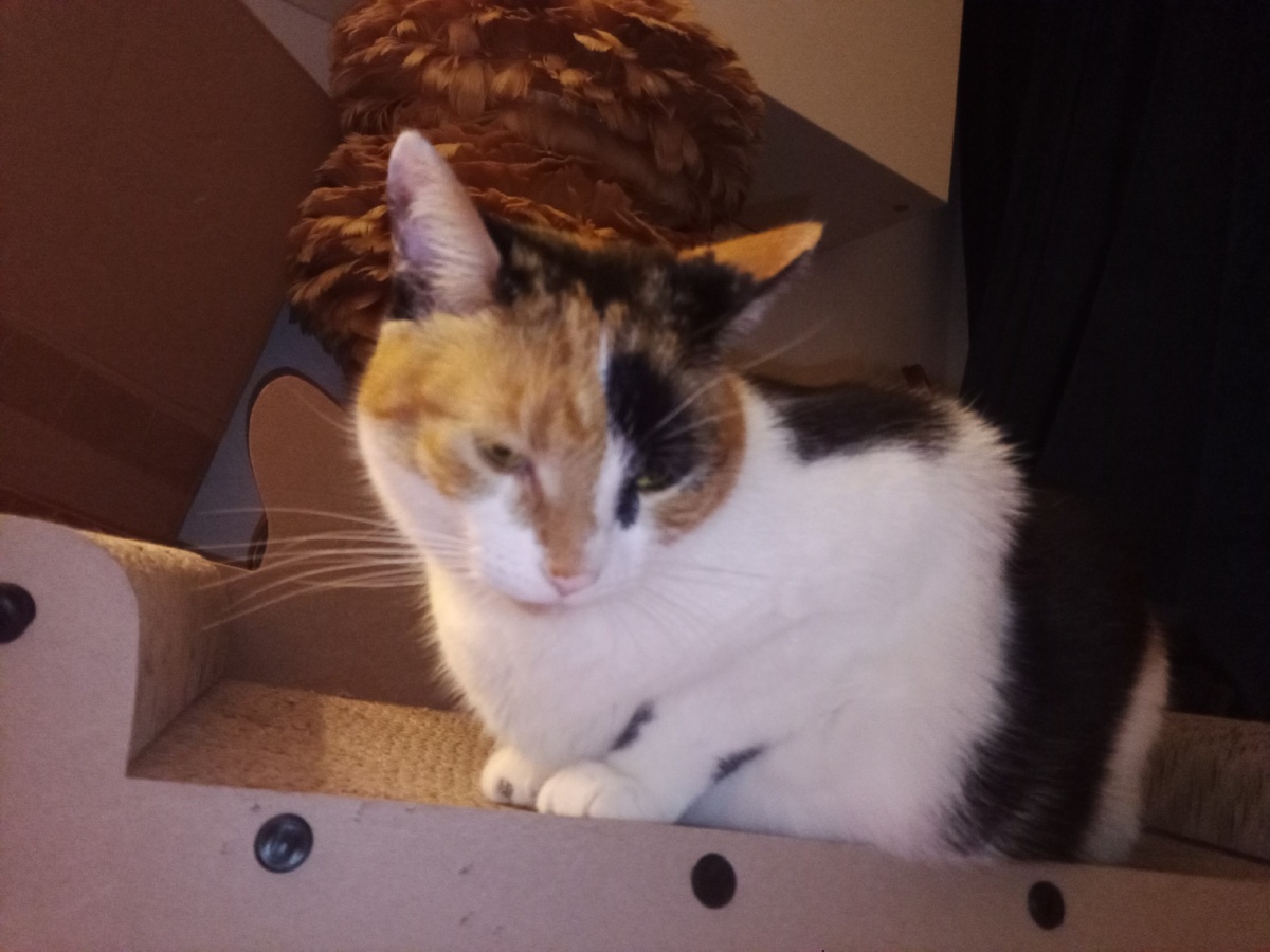 3c5a5ef9-c3de-4262-919f-2e9d42f8db69