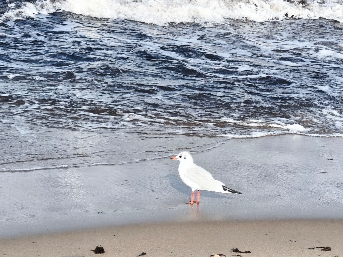 98d6ce81-6b3d-4d78-a084-63d340eec8b9