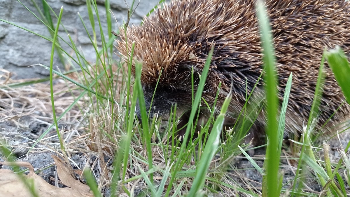 3441dbcb-ac38-47ce-9f50-ce5227994ad1