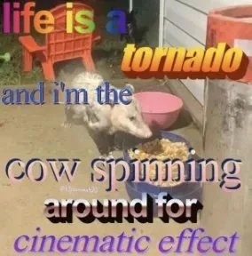 6d73cf47-8396-46fc-aada-5307f4c756c5