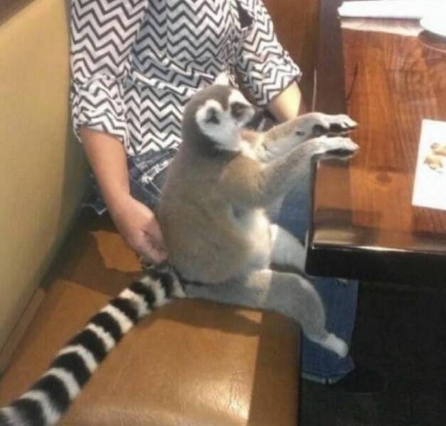 c3df86d6-785c-48ff-b8e1-5d59b72c3e7f