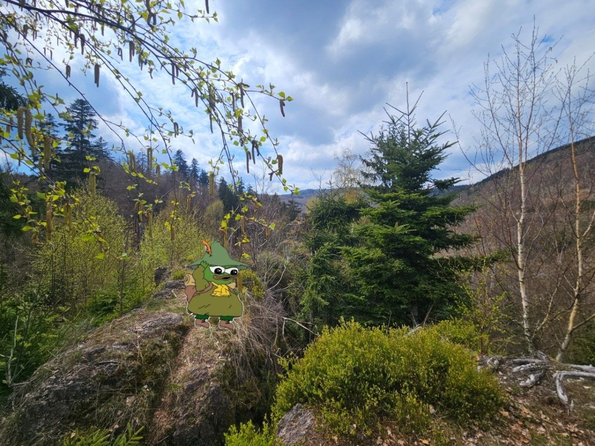 5030da4e-37cb-4177-ab74-8a75b07ad14a