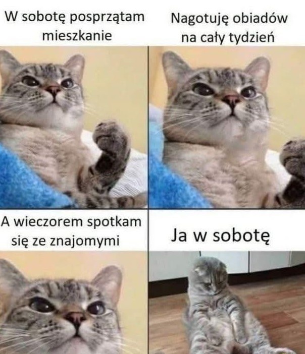 1d3c35cd-f426-4cfa-bf73-32c1fa1556fb