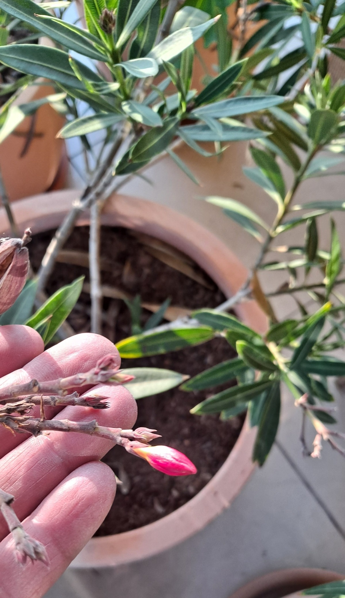 e54774f1-1d24-4c10-911e-512f332cffe8