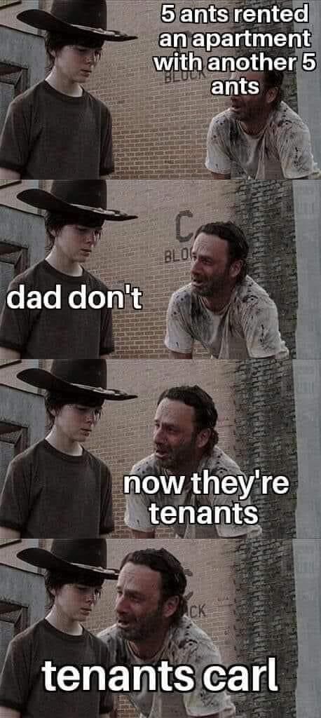 4973f963-cc22-4665-be39-69992b5475c2