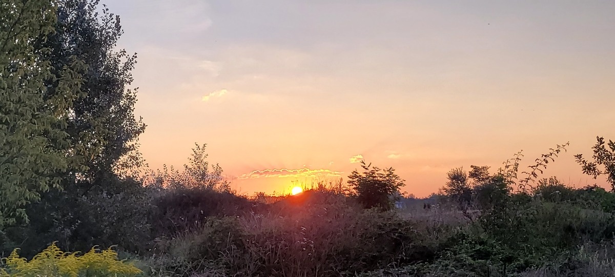 c13f9b7a-5dbc-4422-9f89-b4ff16cd8758