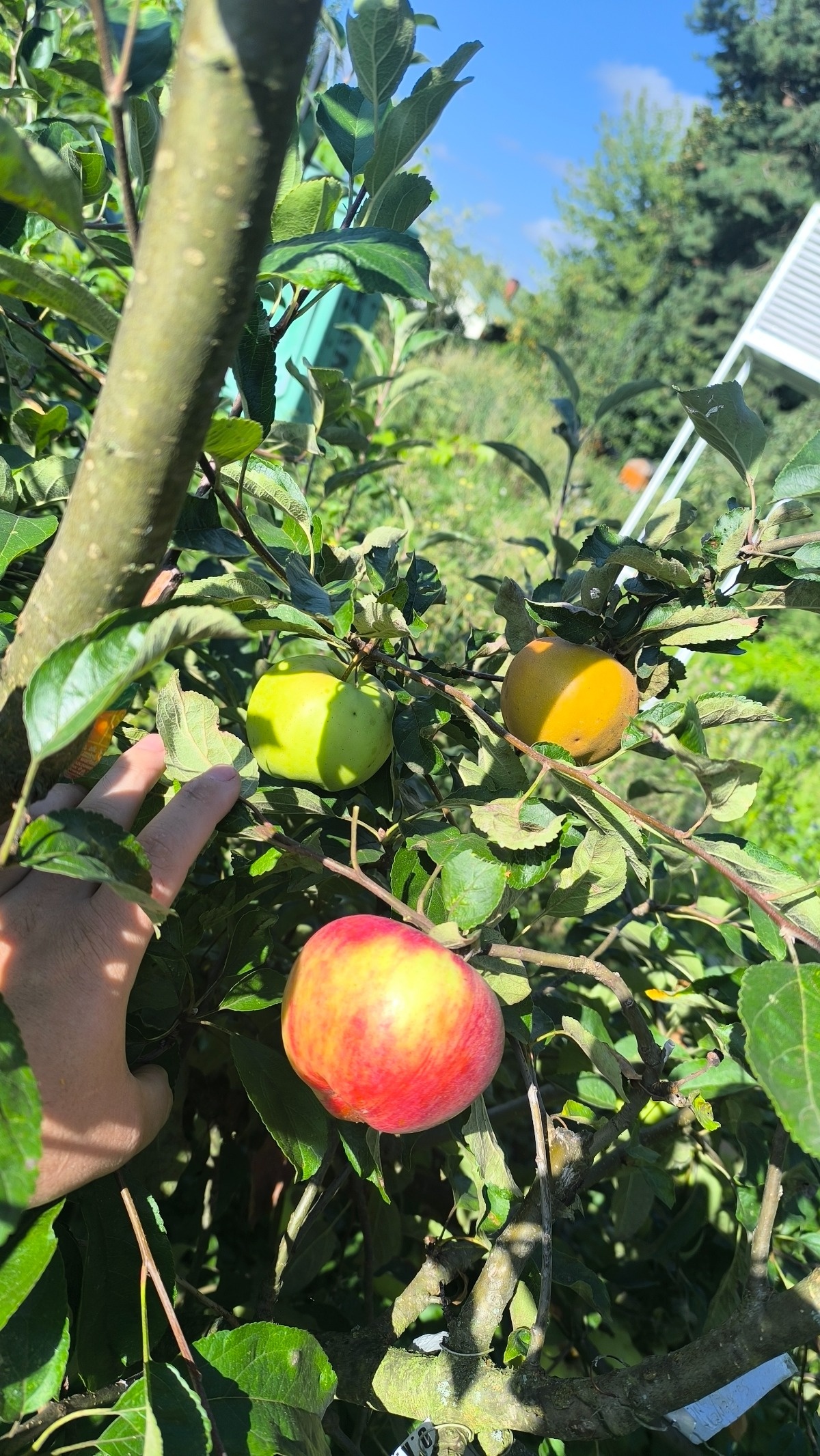 0c7f50ee-2d78-4f16-b016-120efde2cdfa