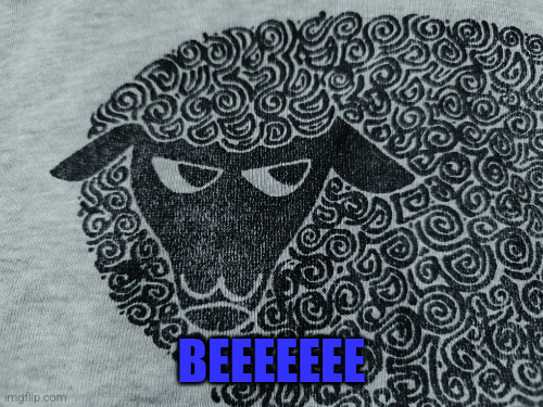 ffae9c7e-e504-4638-8e2b-31fac7a38c05