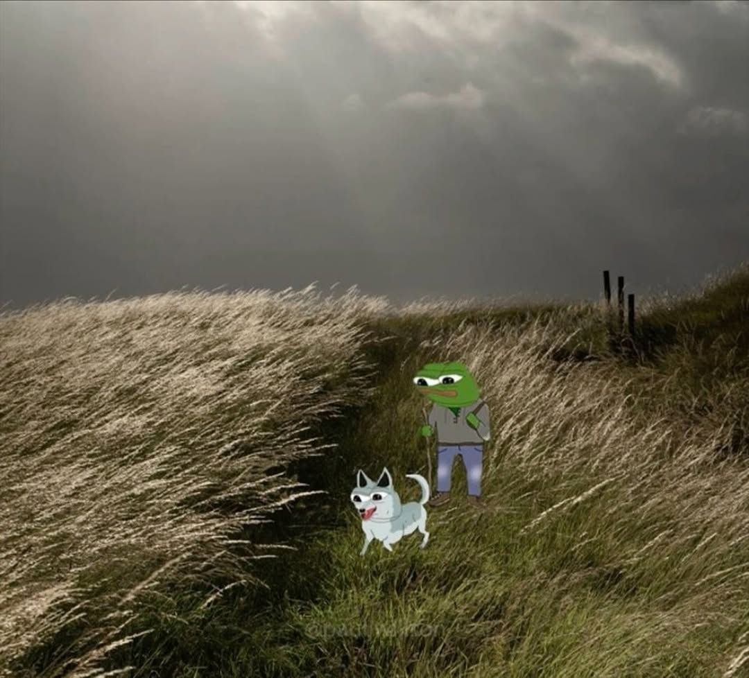 1949e320-243e-4c14-b9fc-e6beace12db8