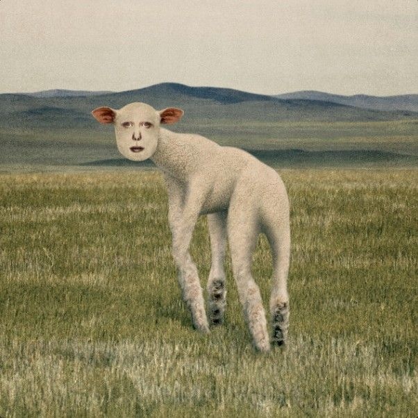 56e3a499-f00d-4859-9af3-6c2d29693871