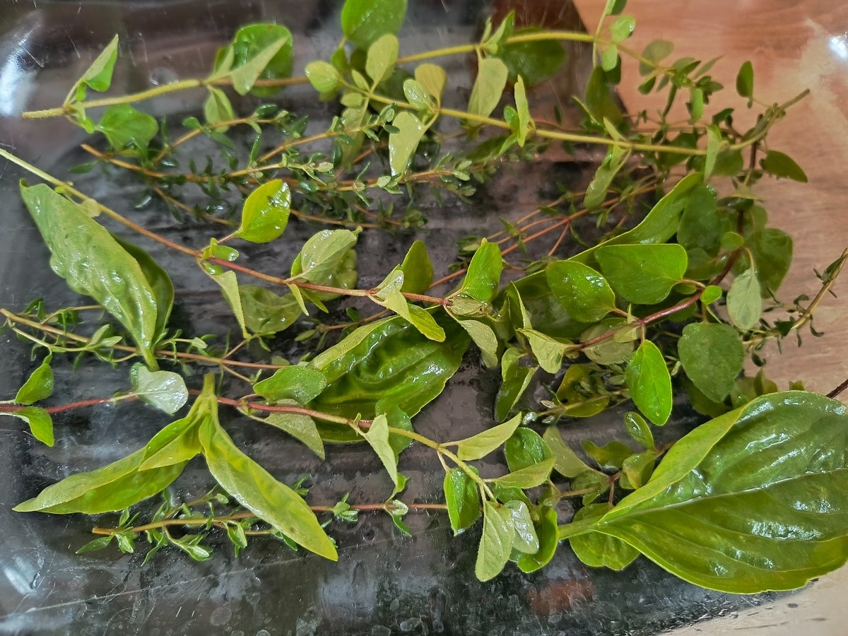 bb386f09-97d8-4d11-a9af-4d3db391c59d