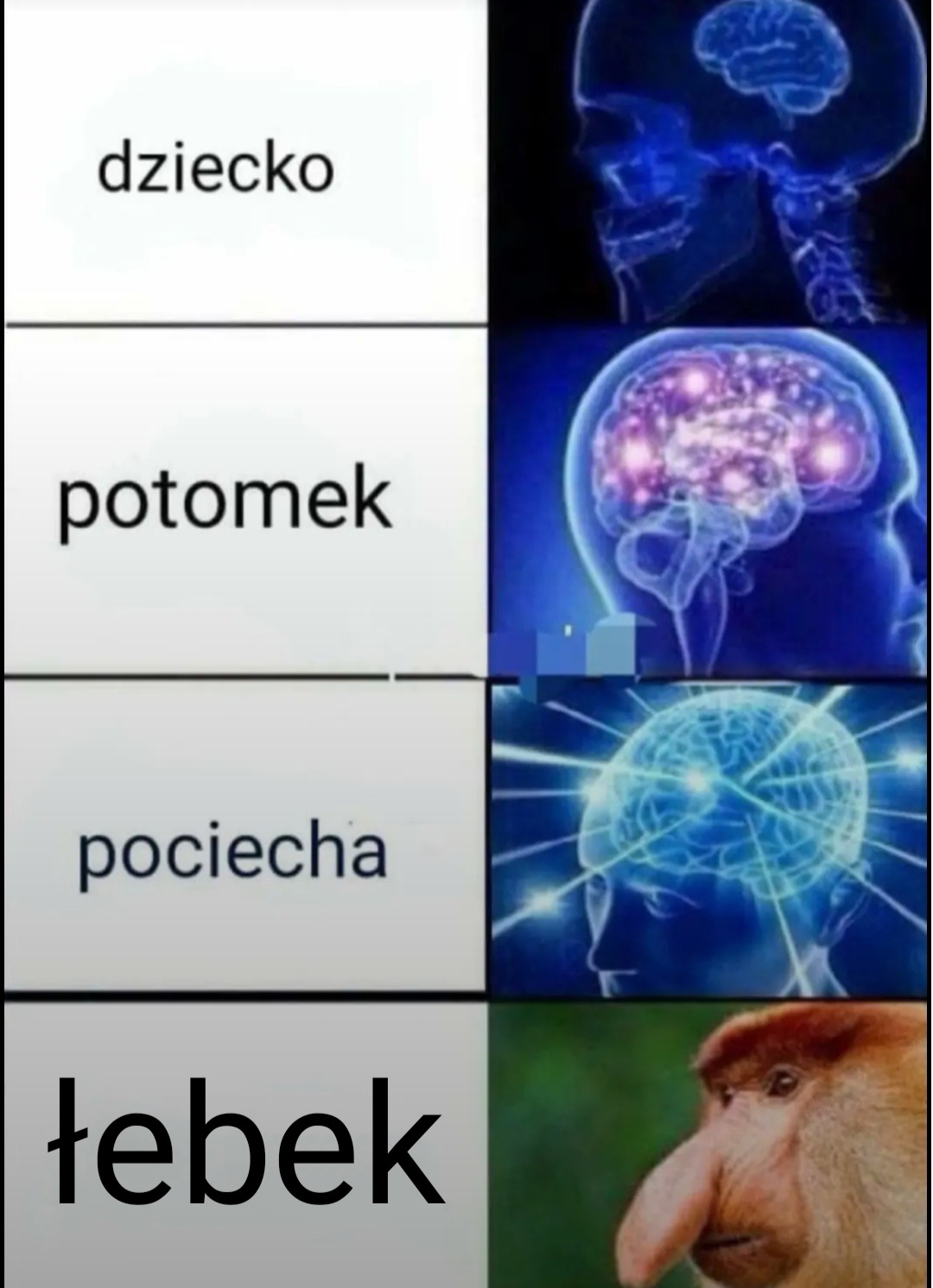 9aae2c6b-deb9-4cb5-ba45-23b805c8be83