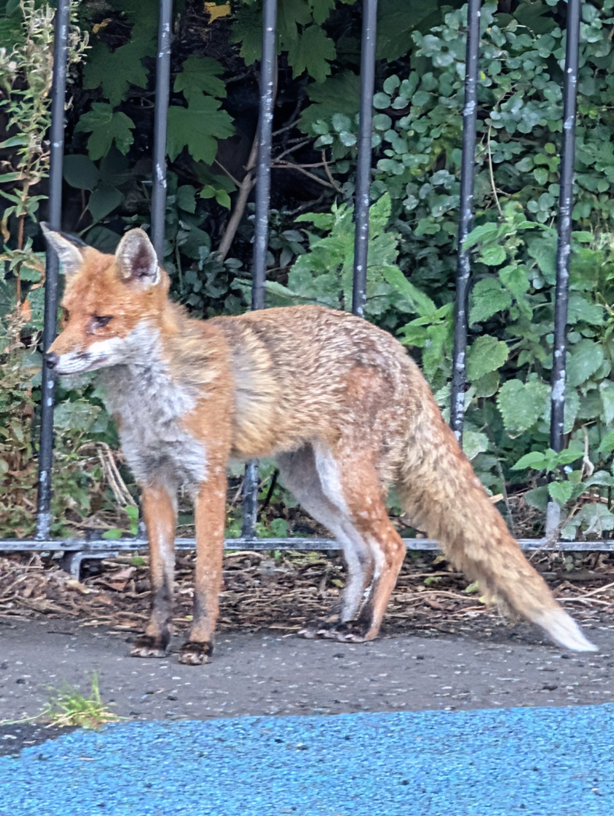 2a6aea78-9a1f-41da-8a91-92f5062c0844