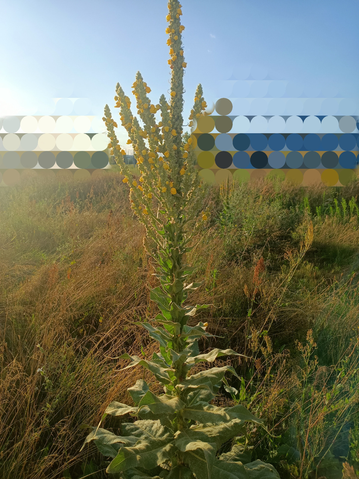 88f6b622-f5c3-4de6-bd15-1dd48dc32ad0