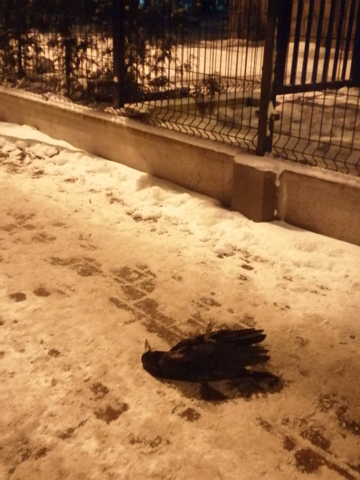 566f8ae3-c718-4386-9d71-f5cfb99ab42c