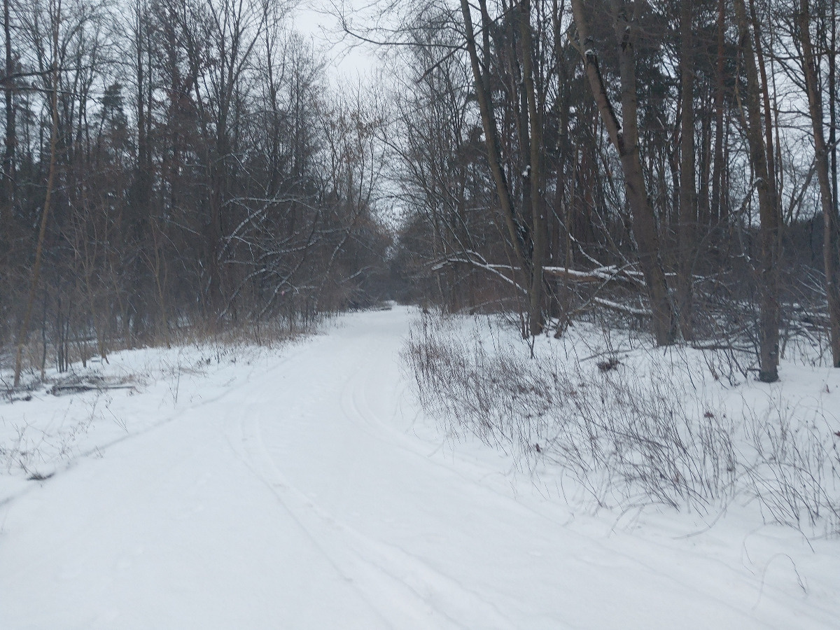 9e9cf7cf-feb6-46ae-b6c0-93a3d89ab3b2