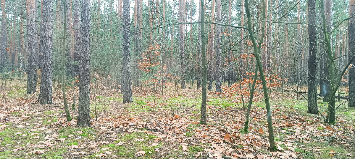 1dbb1a75-5476-4e14-847f-a7c96eb71841