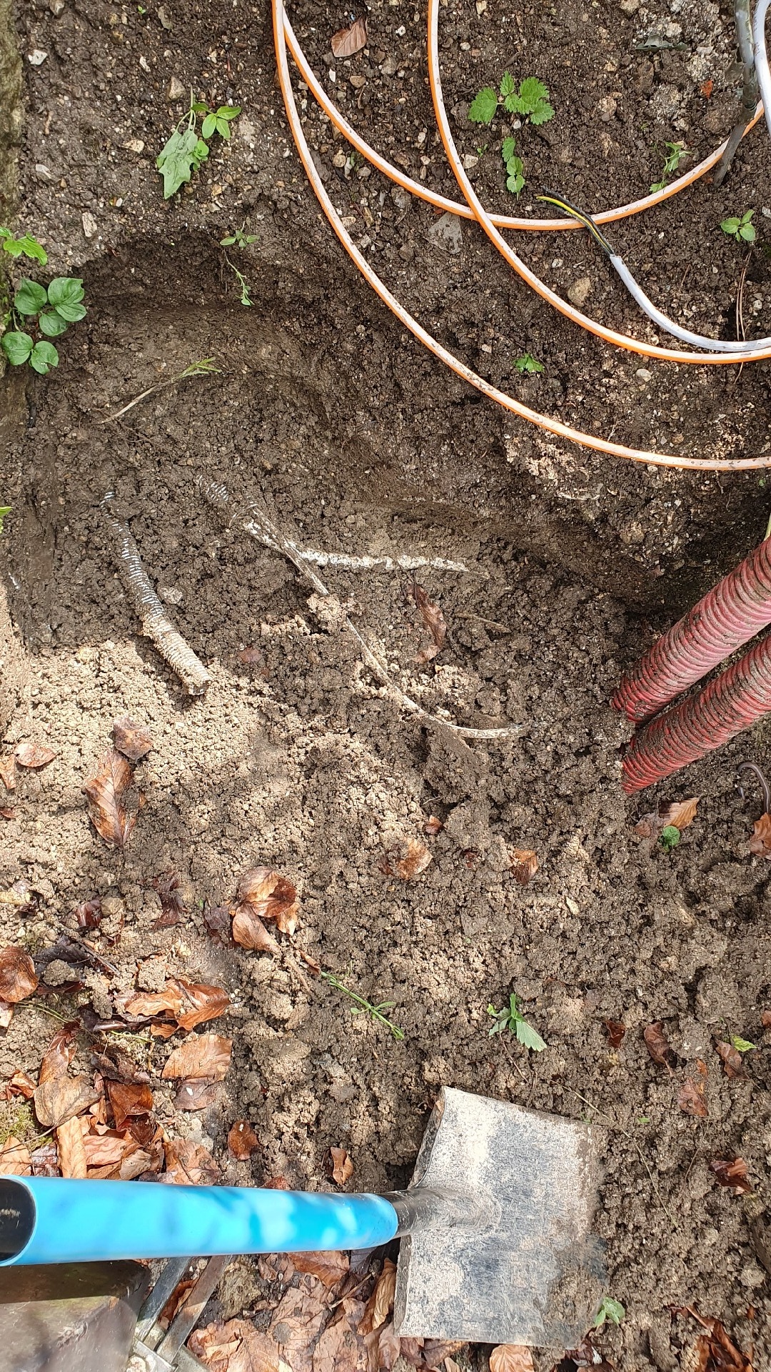 2c8e64e3-fc6a-44e1-a28e-9efa5f5e72ab