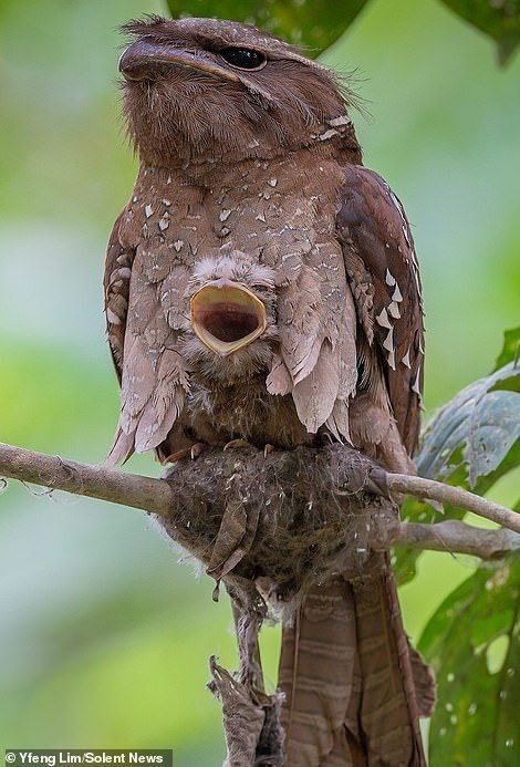 f04af1b5-800e-44fe-bb0b-c5802acc6f2e