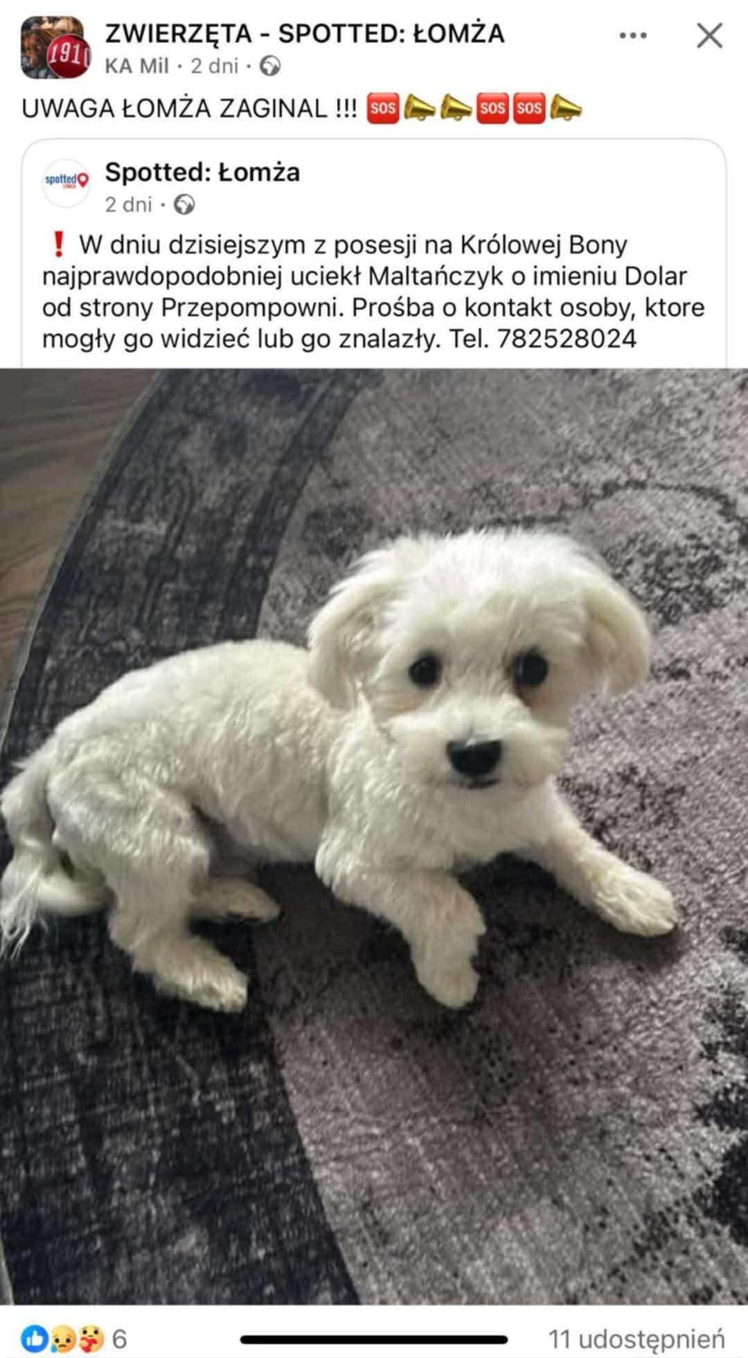 b14f58f2-f9e1-40f8-bab4-d1e9c6834d0c