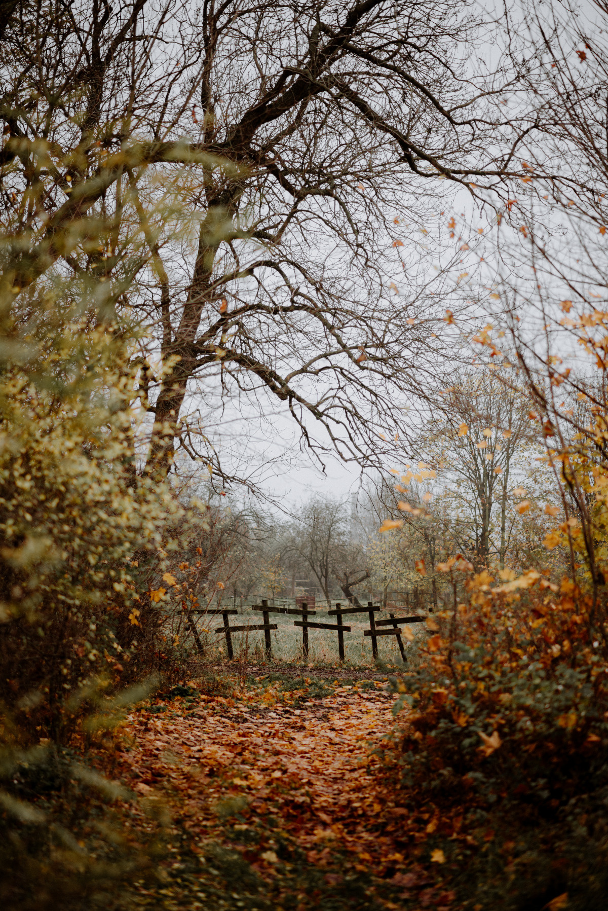 245af30c-7e40-4597-821f-41eb53105c89