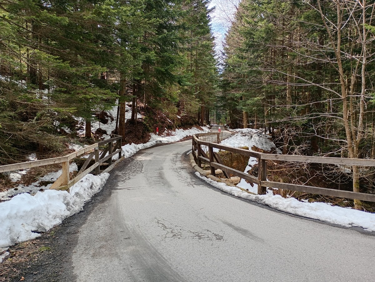 4b776a11-5113-42d3-a130-a4e630554448