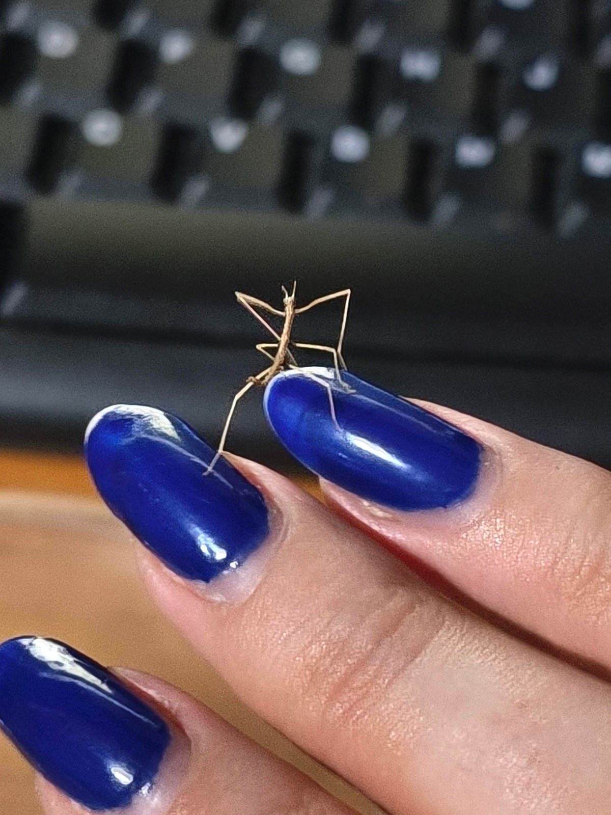 b63de08d-13a6-4a92-9791-59a49d43c4e2