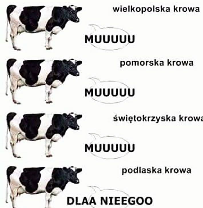 22f63323-fa80-4027-b37c-3de28f1d802a