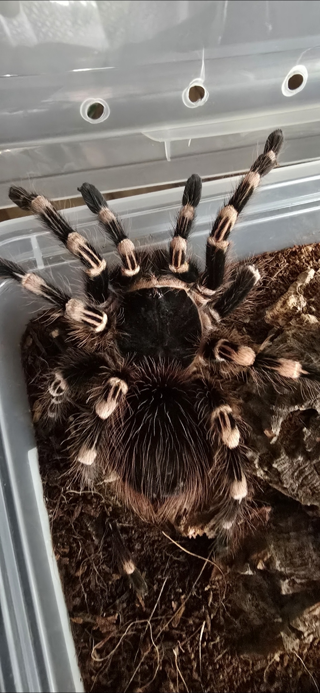 039157af-b165-47f2-a9b3-75f00807e240