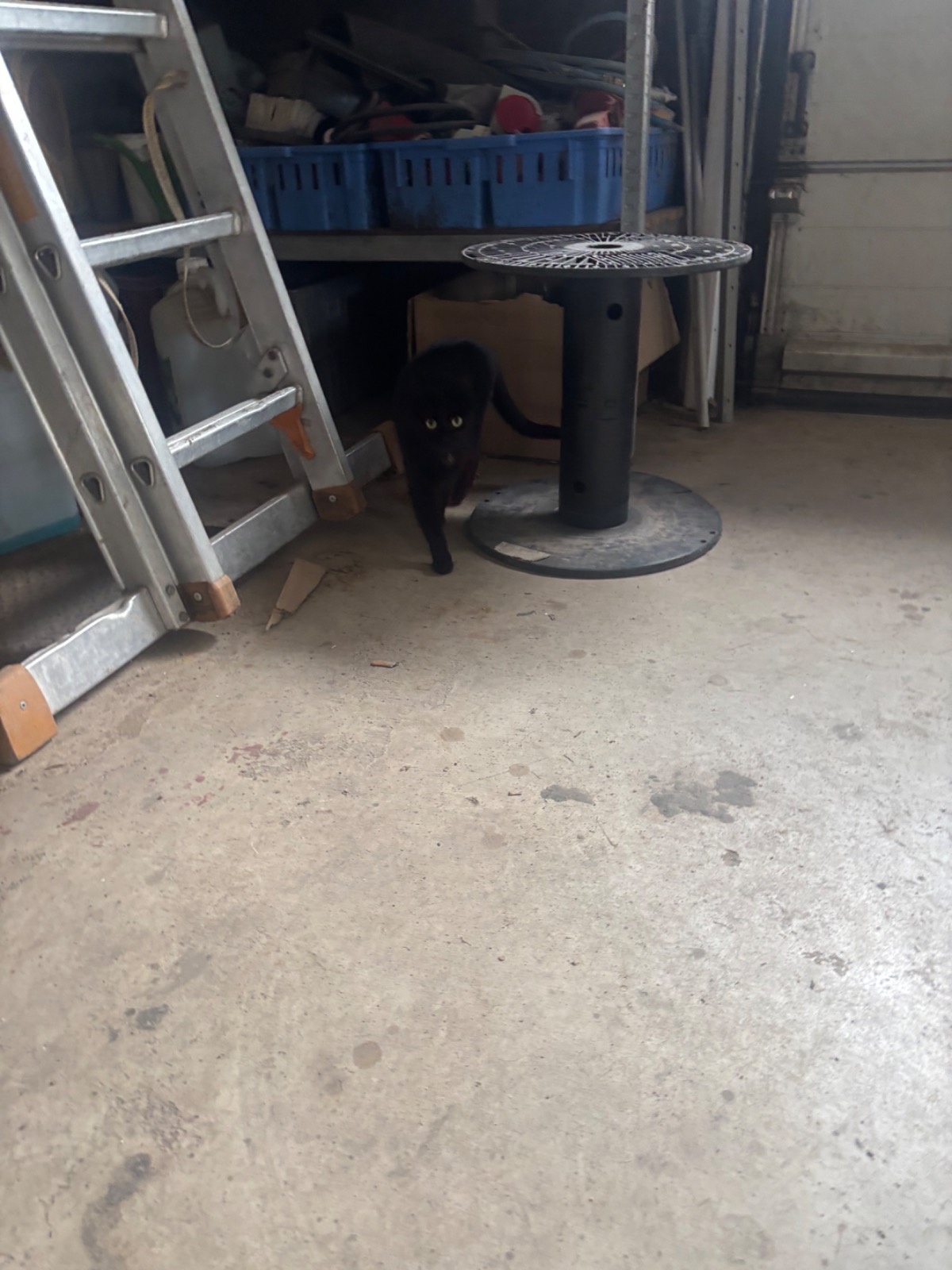 76cacdb5-c508-4942-b5d1-0ea47455d1c3